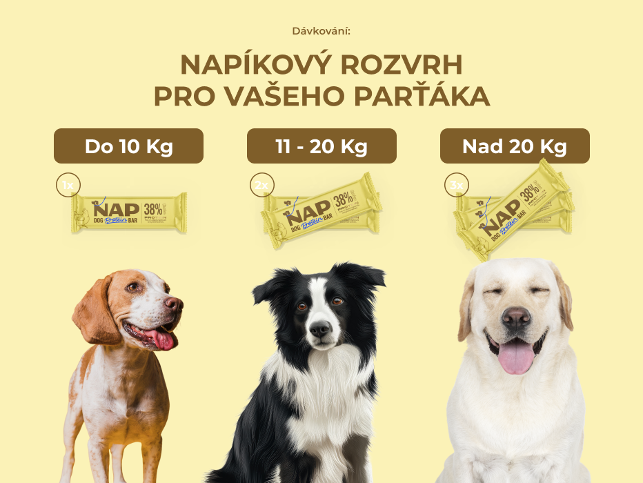 psiprotein_kureci_slozeni