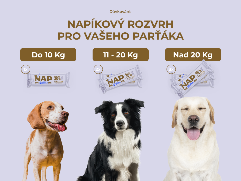 psiprotein_levandule_slozeni