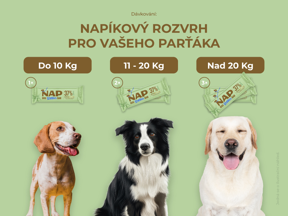 slozeni_hmyzi_davkovani