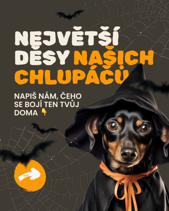 Každý pes má svého „strašáka“ 🎃🐾 Napiš do komentáře, čeho se bojí ten tvůj. 👇 #psiprotein #energie #napfood #halloween...