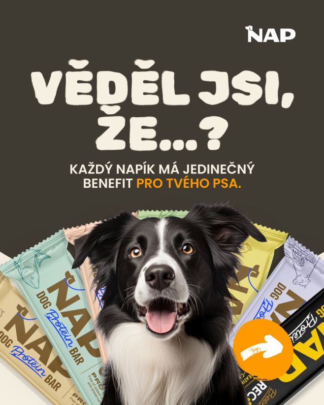 Každý NAPík má svůj benefit. 🐶💪 Vyber ten, který sedne právě tvému psovi – energie, srst, citlivé bříško nebo regenerace...