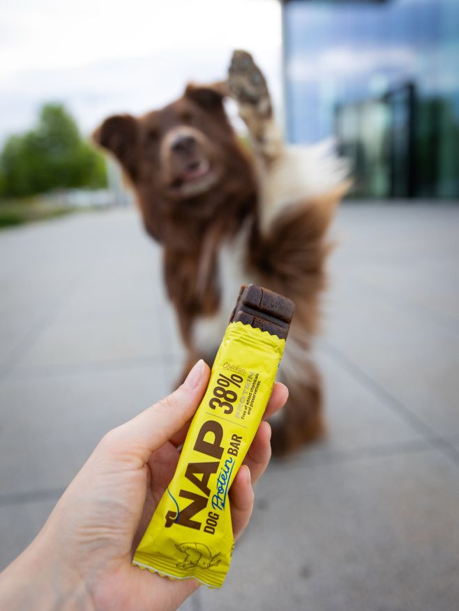 🐾 NAP Dog Protein Bar – kuřecí proteinová tyčinka pro každého chlupáče! 🐶 Až 38 % kvalitních bílkovin z kuřecích srdcí pro...