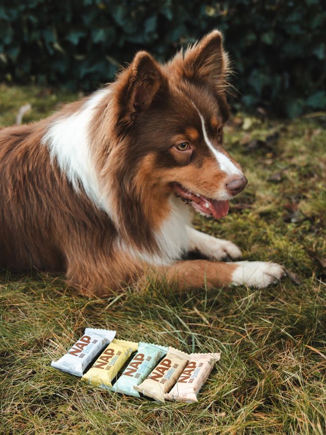 Lahodné, poloměkké a skladné tyčinky pro psy. NAP ProteinBar jsou velmi chutné a lehce stravitelné svačinky s čistým...