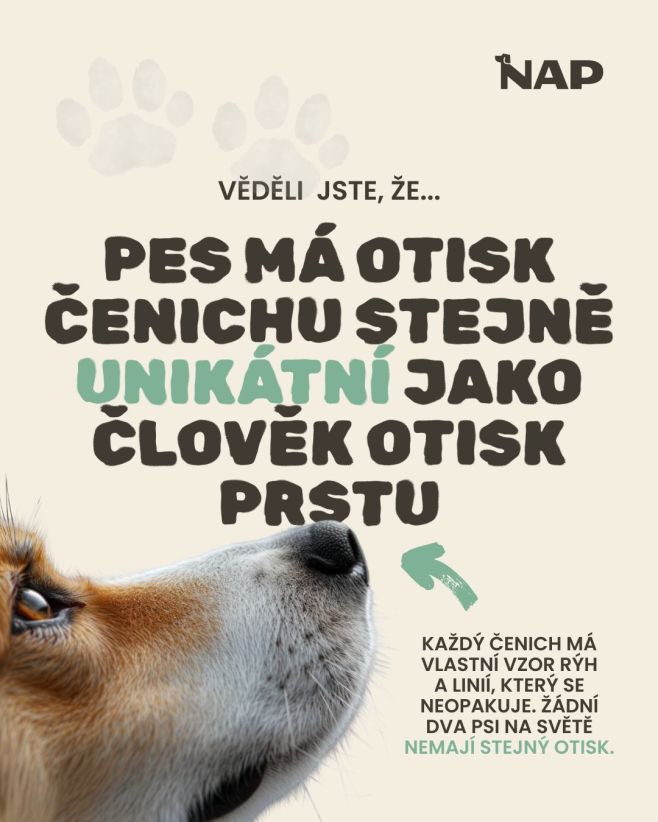 Co vás v poslední době překvapilo za zajímavost o psech? 🐶👇 #psiprotein #pes #energie #napfood #zajimavost