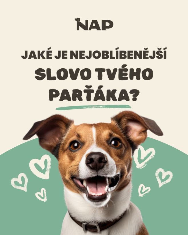 Napište nám do komentáře 🤩🫵 #psiprotein #pes #vyziva #napfood