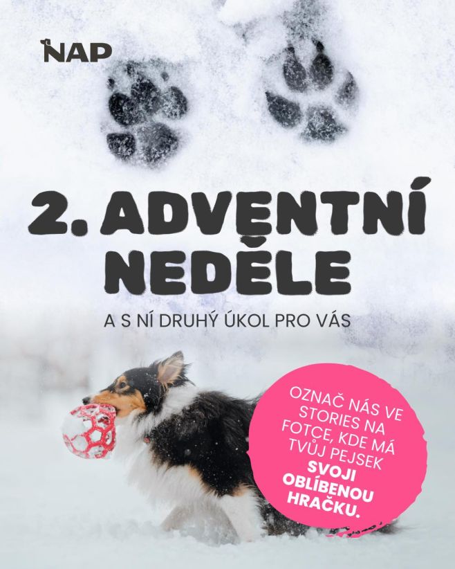 Dnes tu máme 2. adventní neděli. 🌟 Minulý týden jste nám posílali perfektní videa – děkujeme! Tak nás dnes označte s...