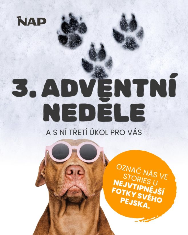 Na tyhle fotky se fakt moc těšíme 😀📸 #psiprotein #napfood #advent #vanoce #pes
