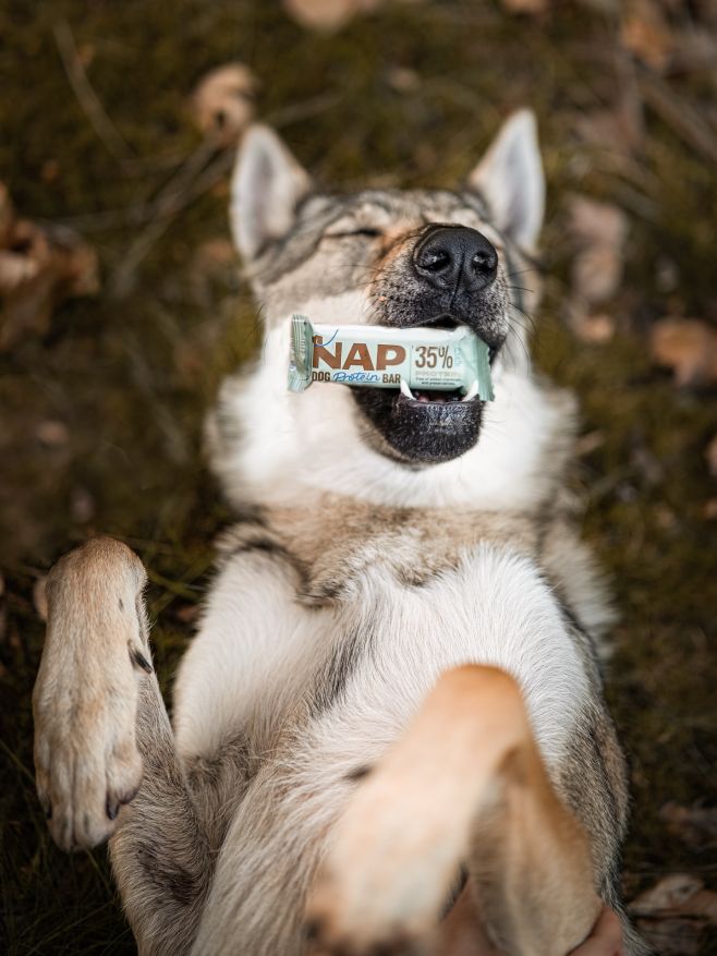 NAP Dog Protein Bar – nutričně vyvážená tyčinka pro aktivní psy, která chutná a dodá sílu na každé dobrodružství.✅ Na...