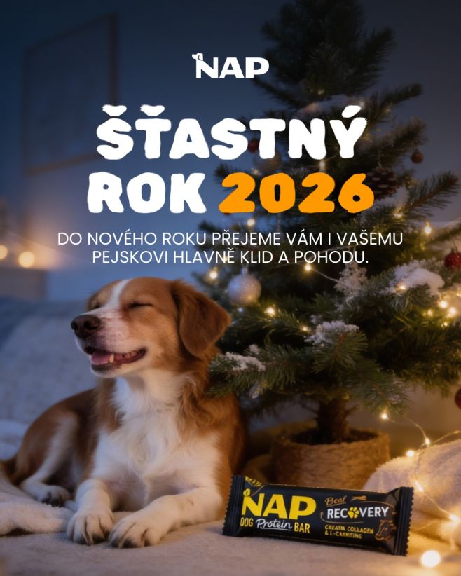 🤩🍾 #psiprotein #silvestr #novyrok #pes